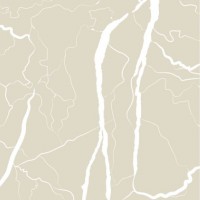 Artwork Marble Ivory AR6060MI 60х60