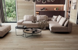 6611 Porcelanite Dos
