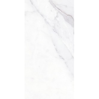 Metafisico Natural MF60120N 60х120