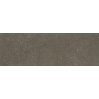 Buxy Cendre 300x100х3.5мм