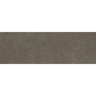 Buxy Cendre 300x100х3.5мм