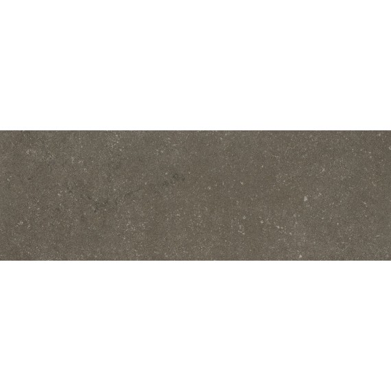 Buxy Cendre 300x100х3.5мм
