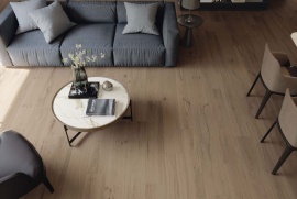 Rive Atlas Concorde Russia