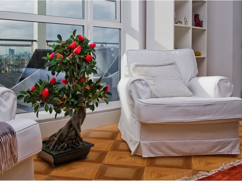 Ламинат Aristocrat Westerhof