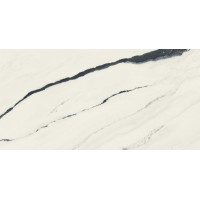 610015000656 Forte dei Marmi Panda White Rett Cer 60x120