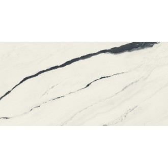 610015000656 Forte dei Marmi Panda White Rett Cer 60x120