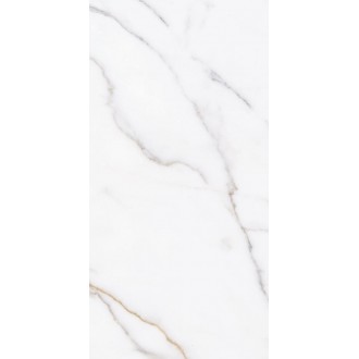 Metafisico Polished MF60120P 60х120