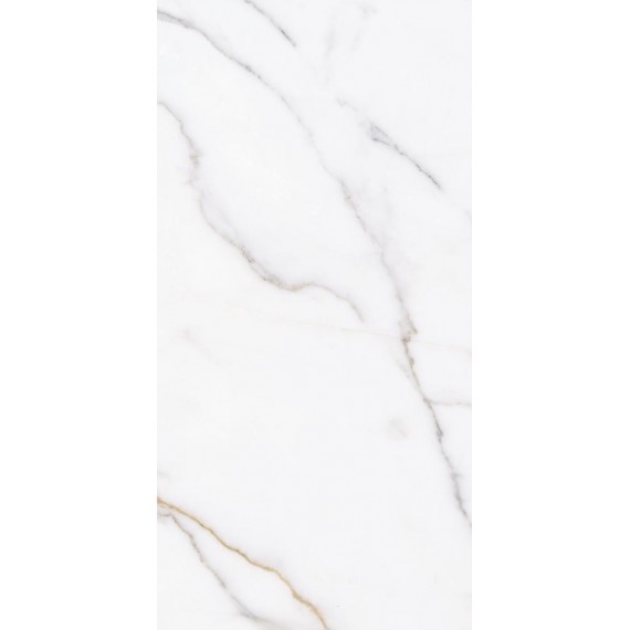 Ornamenta Metafisico Polished MF60120P 60х120