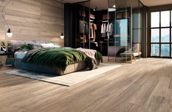 6611 (Porcelanite Dos)