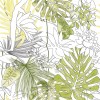 Jungle Flora Equatoriale JU6060FL 60х60