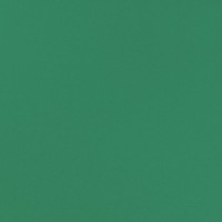 10GCRP0007 Зеленый 60x60 полированный