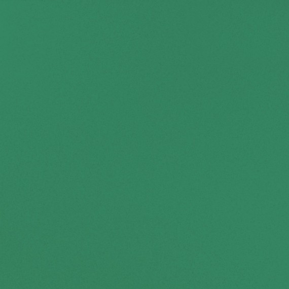 10GCRP0007 Зеленый 60x60 полированный