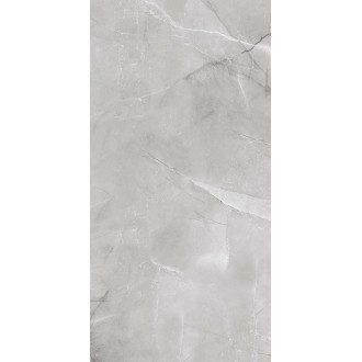 AB 1142G Armani Silver gloss 1200x600