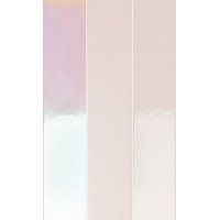 4100730 Rose Hologram Mix 5x25