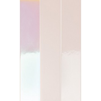 4100730 Rose Hologram Mix 5x25