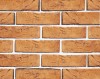 Искусственный камень 1-41-19 Эскориал 6.5x21