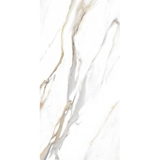 44CL29P Calacata Gold 59x119