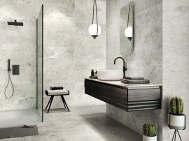 9529 Porcelanite Dos