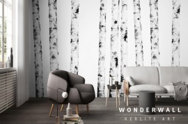 Керамогранит Wonderwall Kerlite