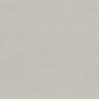 LF 01 Loft неполированный 60x60