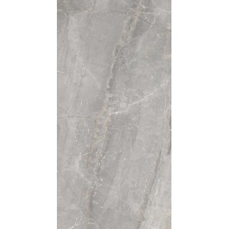 304040 Charme Grey 60x120