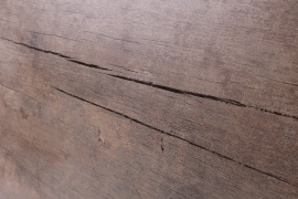 Hamton Realistik