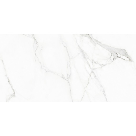 Керамогранит 117432 WHITE BEAUTY LEVIGATO+RETTIFICATO 60x120