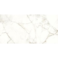 117782 EMOTION LEVIGATO+RETTIFICATO 60x120