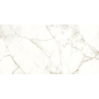 117782 EMOTION LEVIGATO+RETTIFICATO 60x120