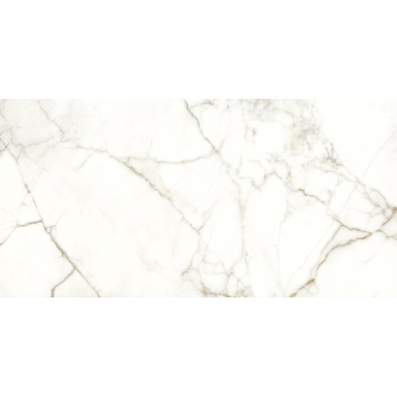 Керамогранит 117782 EMOTION LEVIGATO+RETTIFICATO 60x120