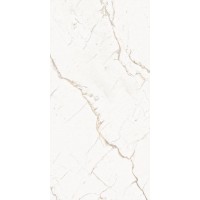 ARMONIA Gold Full Lappato 80x160