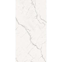 ARMONIA Silver Full Lappato 80x160