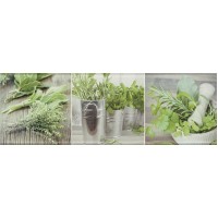Декор Salerno glass kitchen 1 20х60