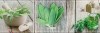 Декор Salerno glass kitchen 2 20х60