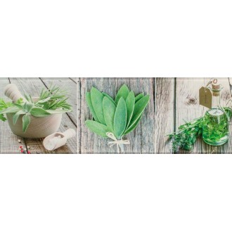 Декор Salerno glass kitchen 2 20х60