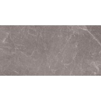 Exedra Tiles Glossy Rain Grey 300x100