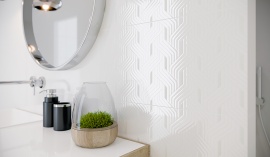 Synergy Paradyz