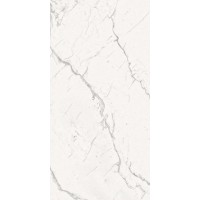 ARMONIA Silver Full Lappato 60x120