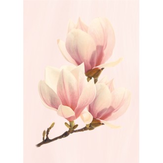 Агата D Розовая 25х35