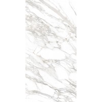 Айс светло-серый 60х120