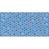 Анкона D1 синяя 30х60