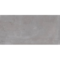 Бордо серая 250x500
