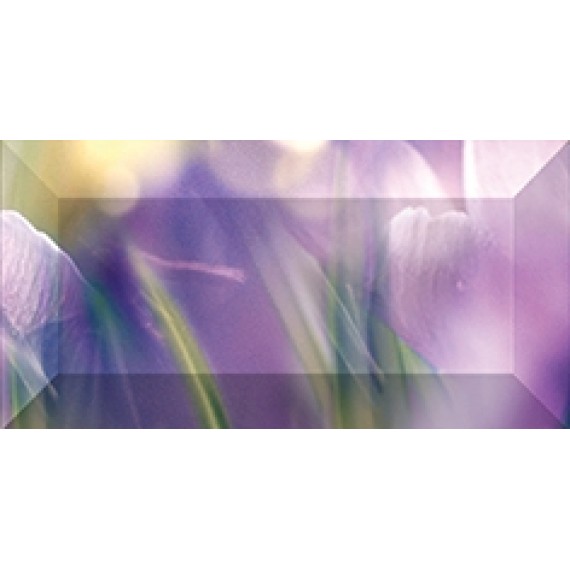 Керамическая плитка Бордюр рельефный Crocus br1020D286-2 20х10