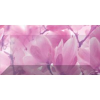 Бордюр рельефный Magnolia br1020D297-2 20х10