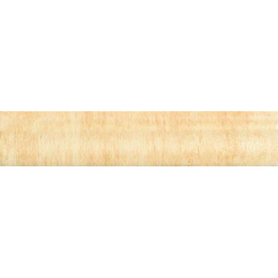 Керамическая плитка Бордюр ECHO KUBA-2 25X5