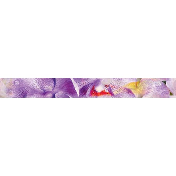 Керамическая плитка Бордюр Impression B400D190 40х4,5