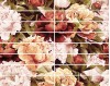 Бордюр Peony 4х25