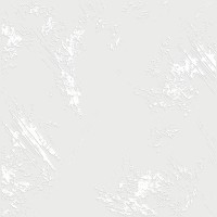 Борнео 40х40