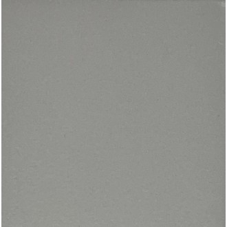 Вегас светло-серая матовая 20х20