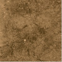 Вермонт 4 Коричневый 29,8х29,8